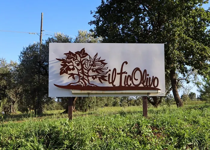 Ficolivo