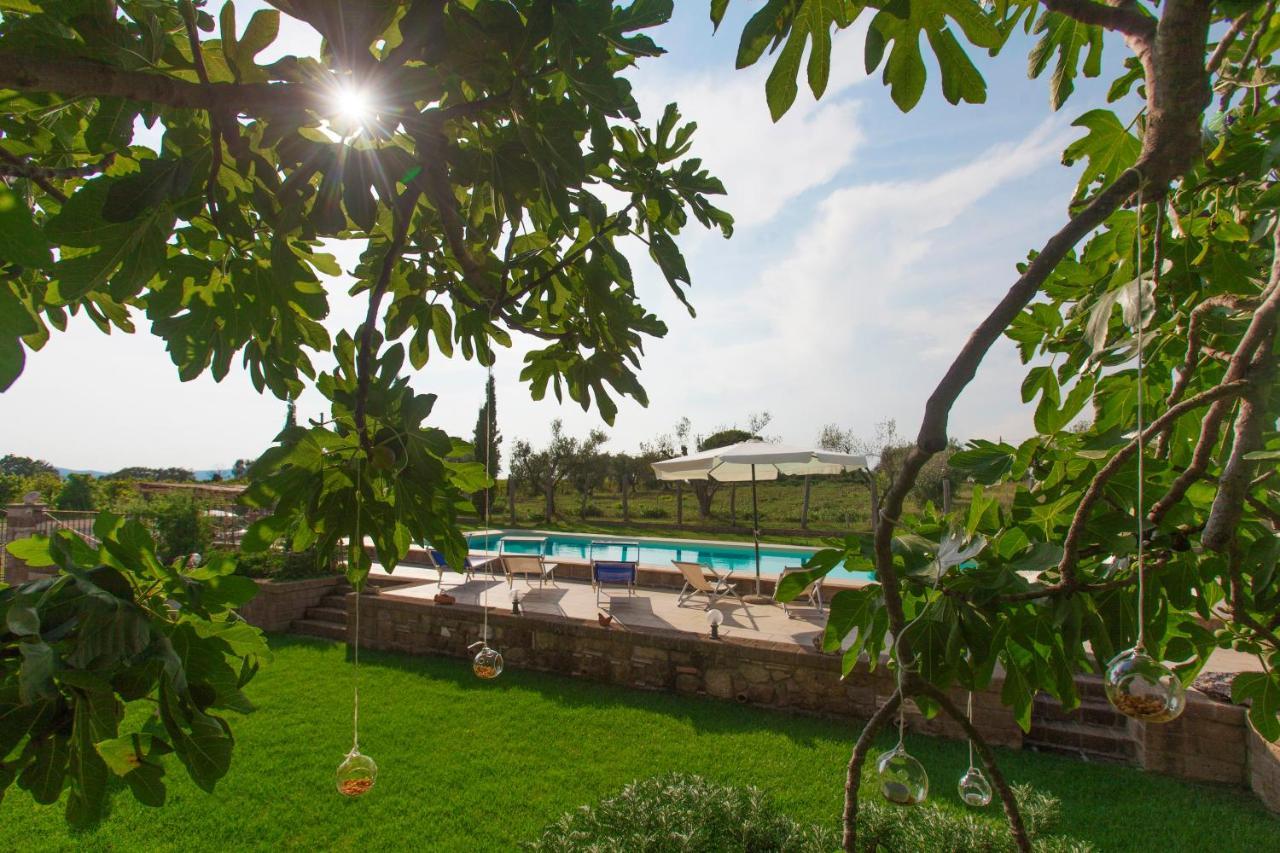 Bed & Breakfast Ficolivo *